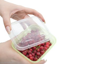 IK 84543000 (киви) kiwi2.jpg